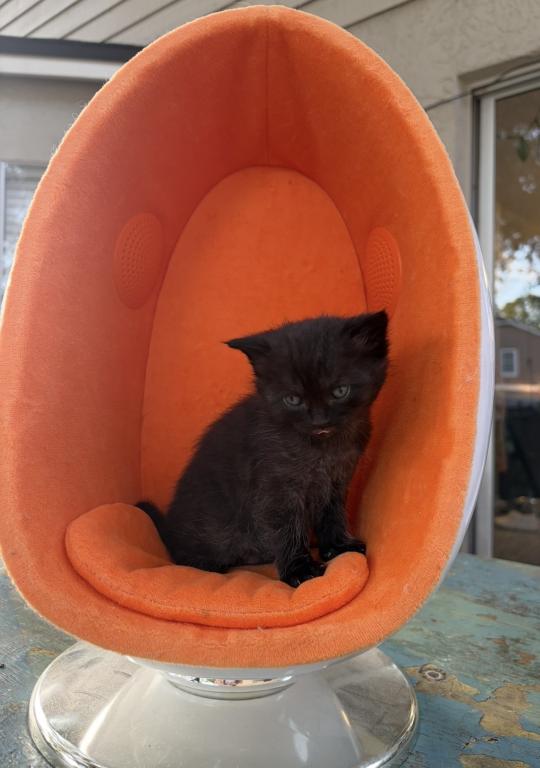 April 8th Babies photo 8