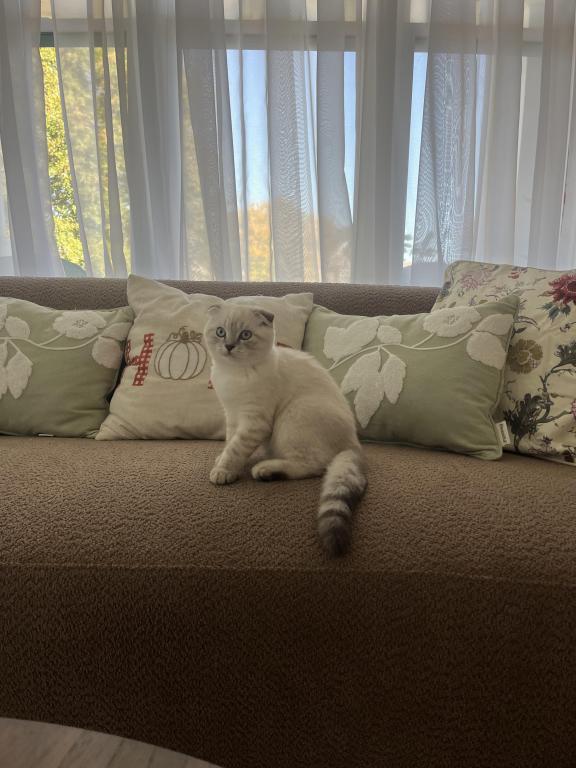 Theodore photo 3