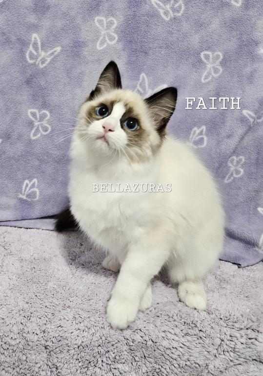 Faith