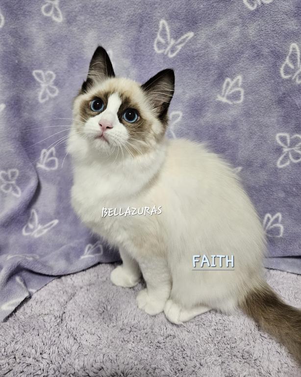 Faith photo 6