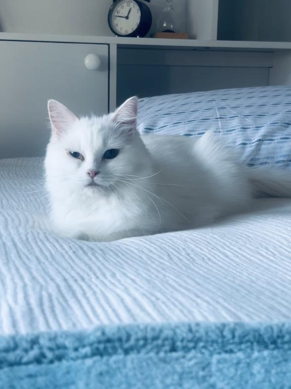 Princess photo 3