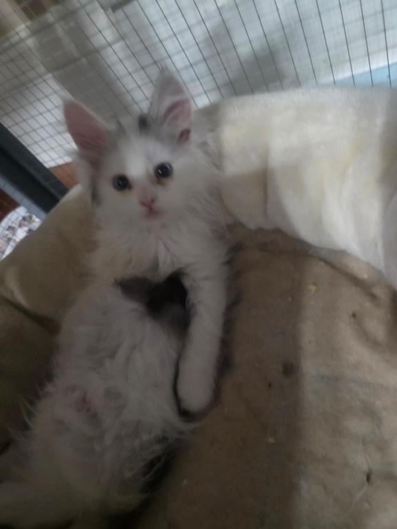 Freya photo 2
