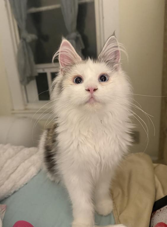 Freya photo 2