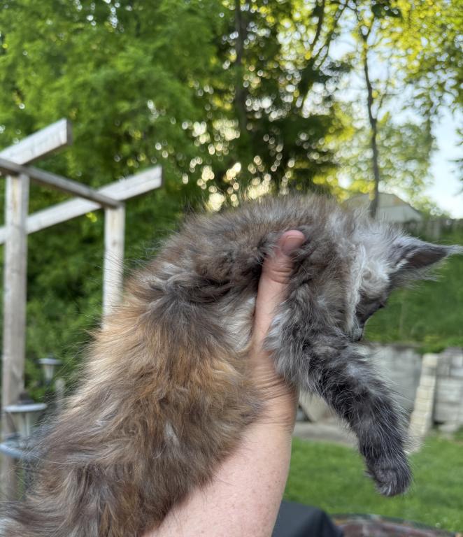 Freya photo 2