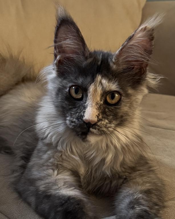 Freya photo 4