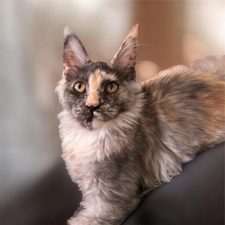 Freya photo 2