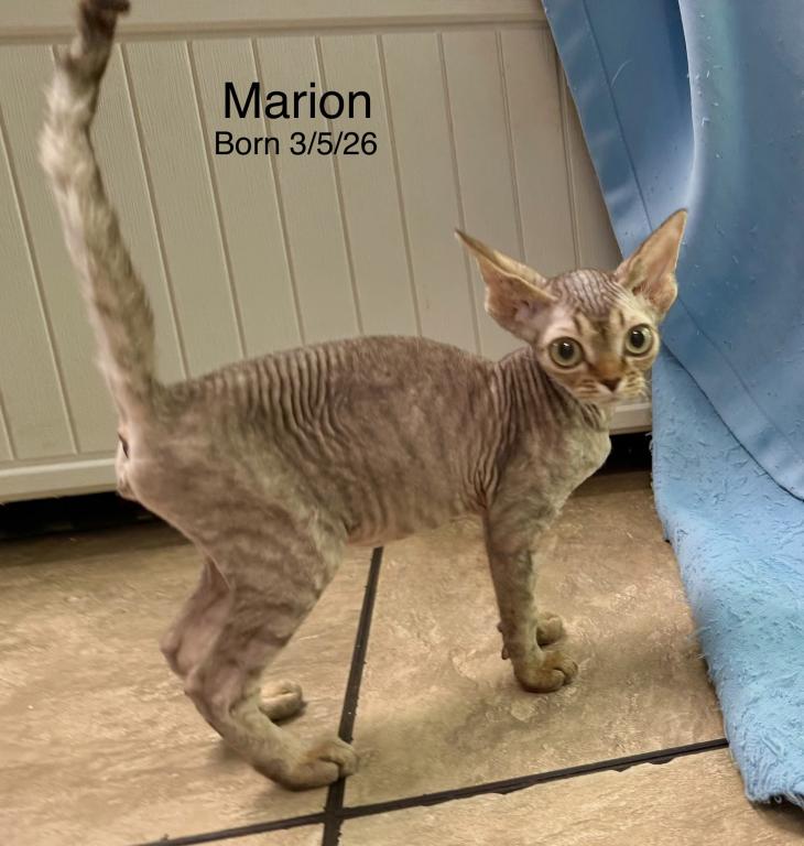 Marion photo 1