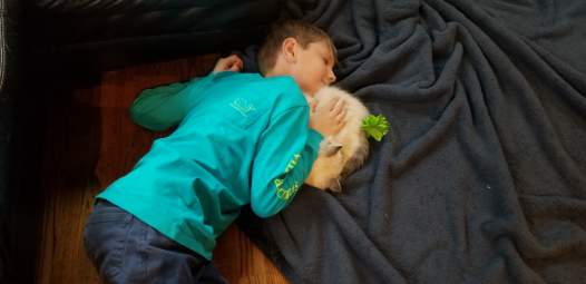 Ginger Bred Dolls photo 17