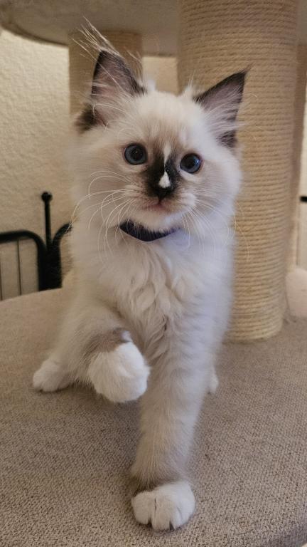 Charlie photo 1