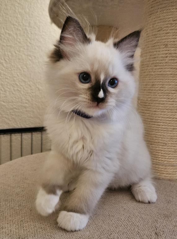 Charlie photo 2