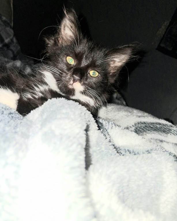 Sneezy photo 10