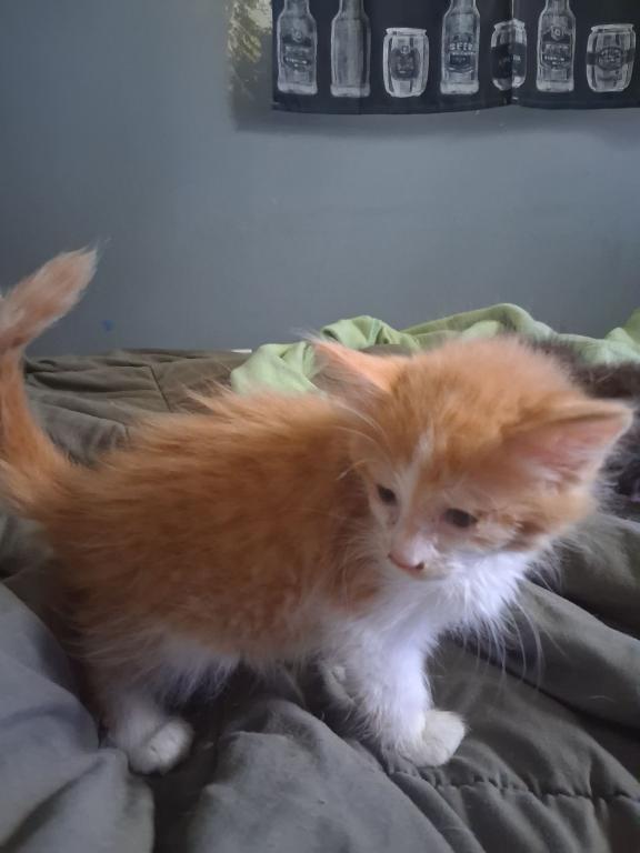 Sneezy photo 3