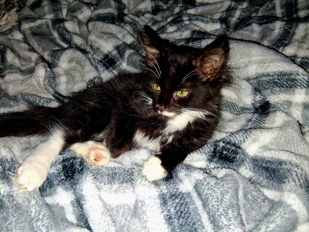 Sneezy photo 9