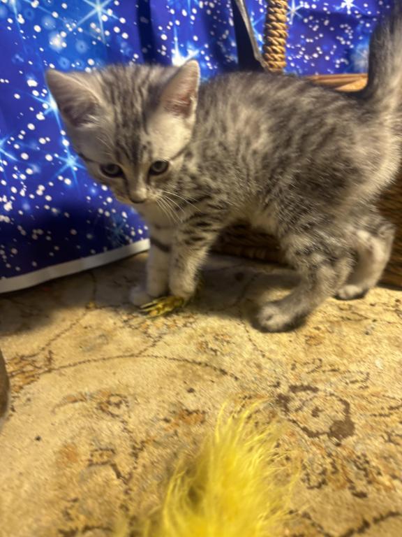 Sunshine photo 2