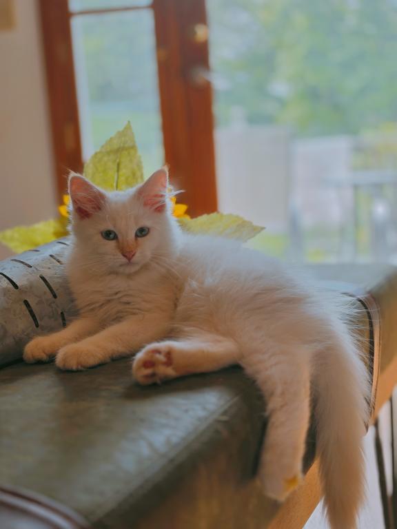 Ash photo 3