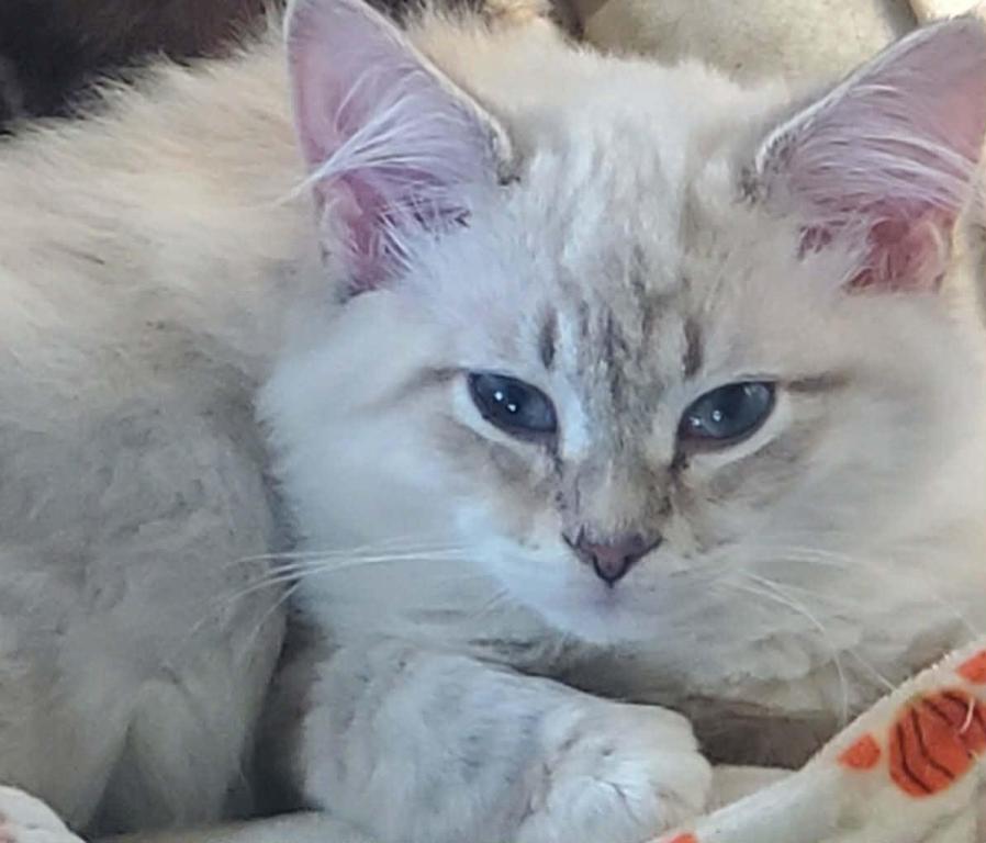 Oscar photo 1