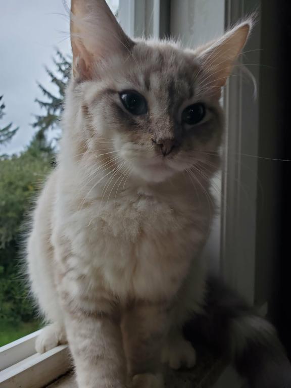 Oscar photo 3