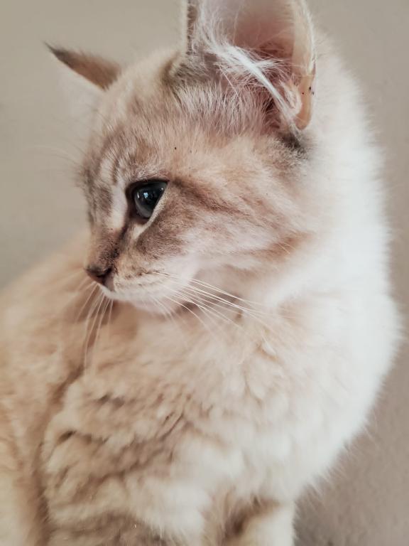 Oscar photo 2