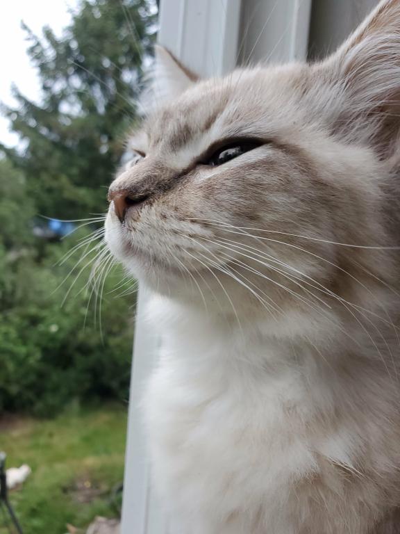 Oscar photo 4