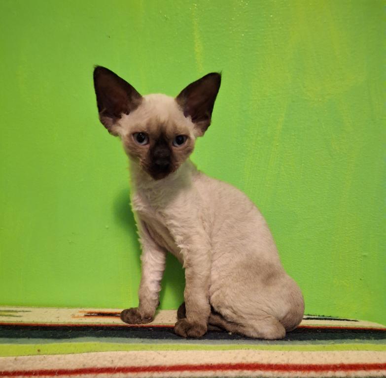 Sabrina photo 4