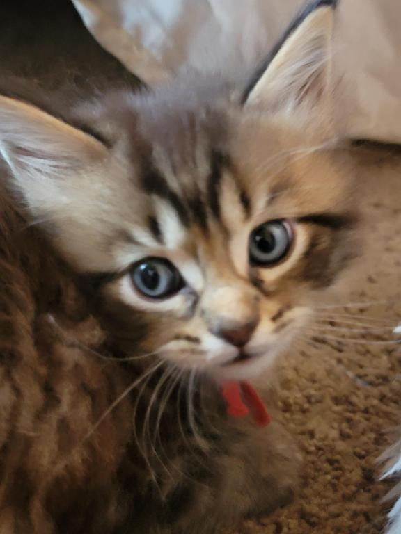 Ernie photo 3