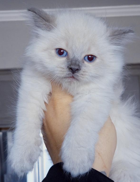 Cloud