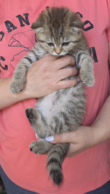 Fudge photo 2
