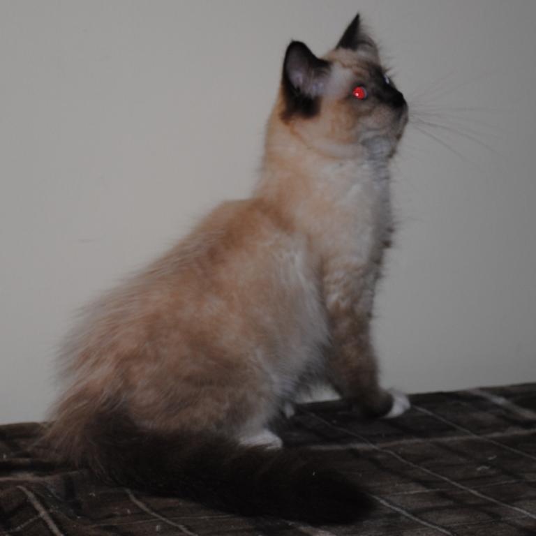 Parker photo 6
