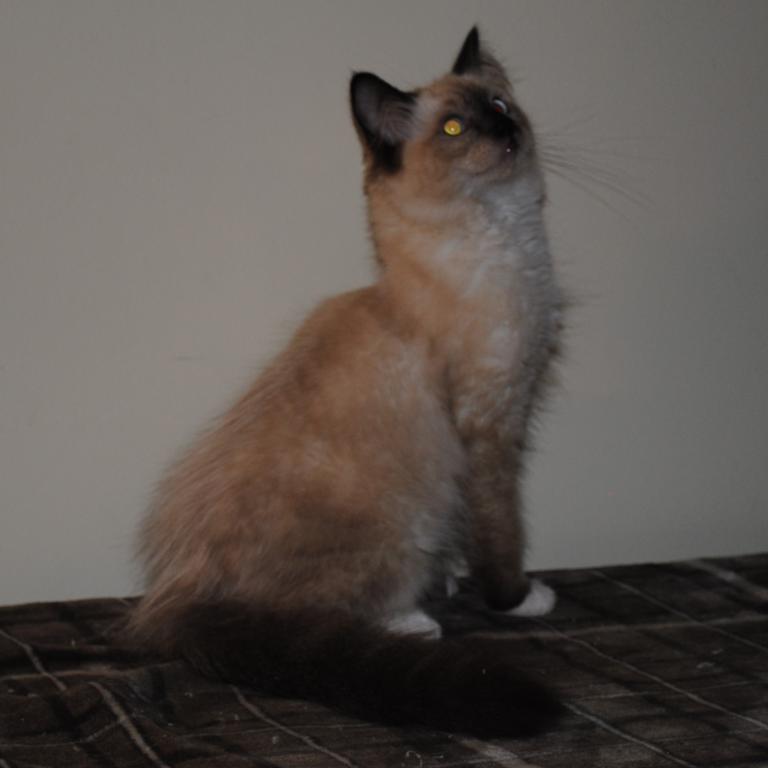 Parker photo 3