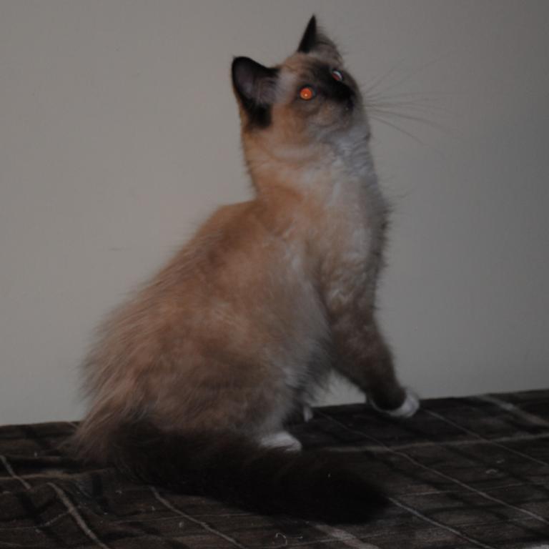 Parker photo 5