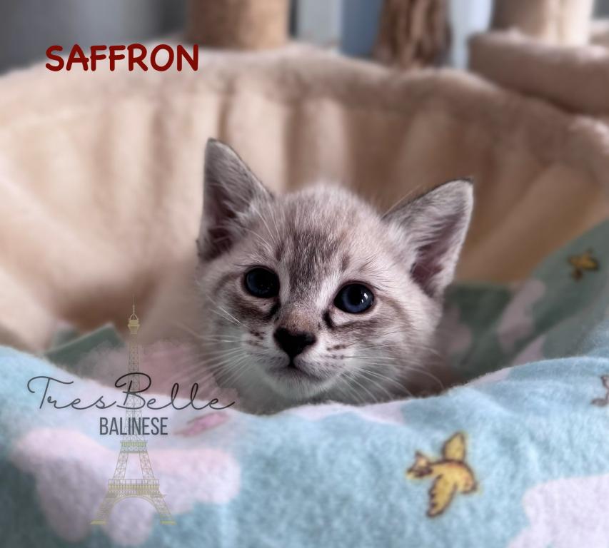 Saffron RESERVED photo 7