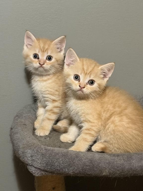 Brother photo 19