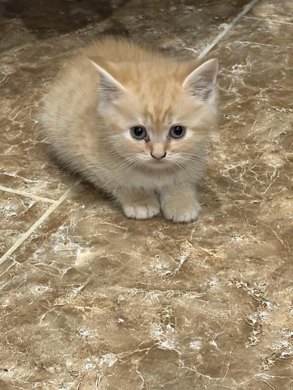 Brother photo 22