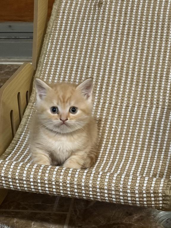 Brother photo 24