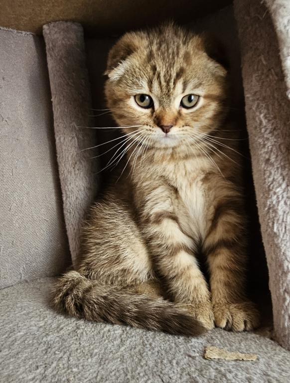 Luna photo 5