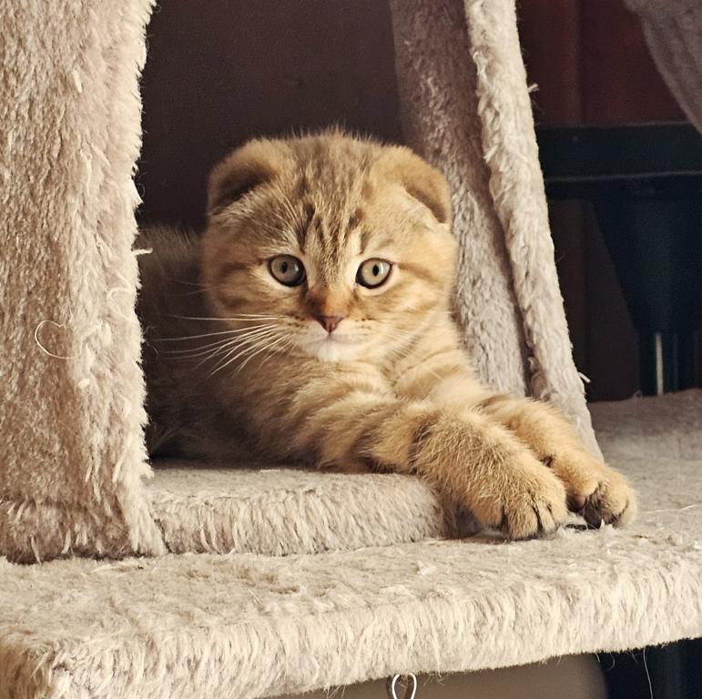 Luna photo 6