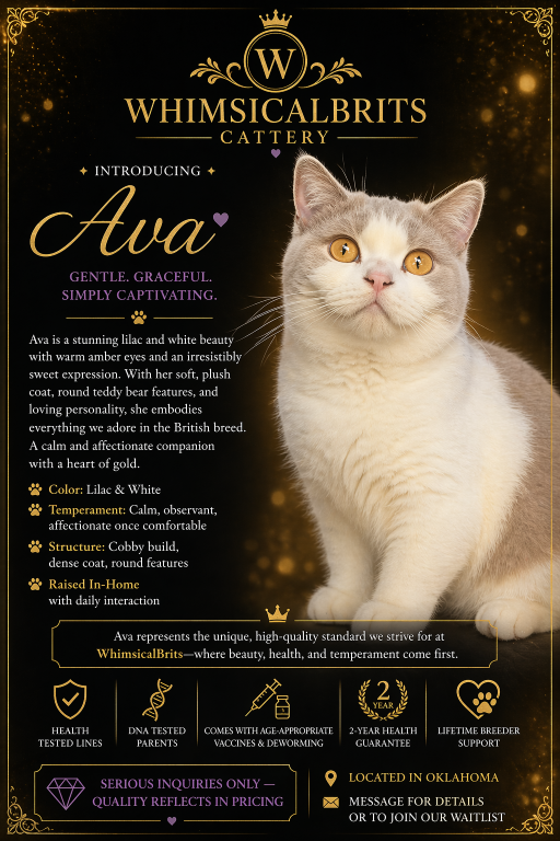 Ava X Felix