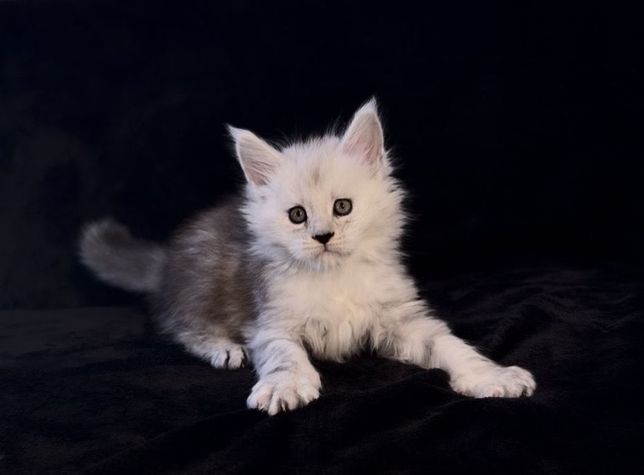 Boy Dobrynya photo 4