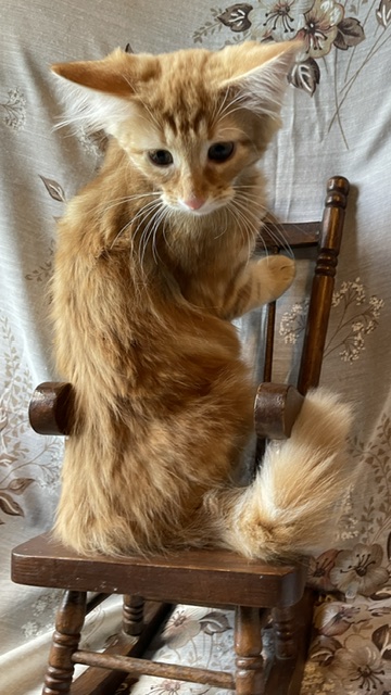 Surprise photo 8