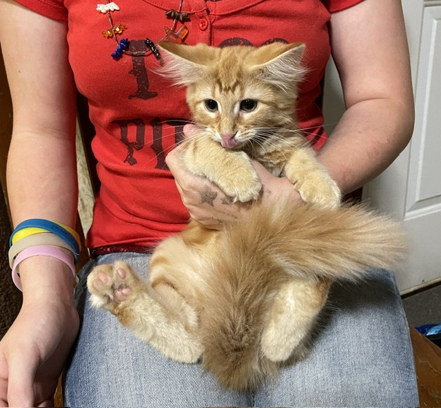 Surprise photo 4