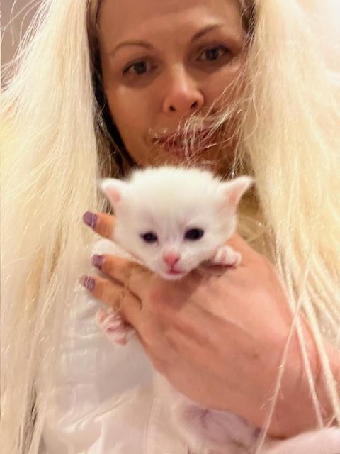 NEWBORNS Like Her ISOBELLA photo 12