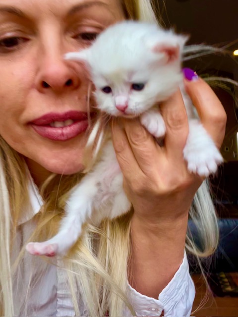 NEWBORNS Like Her ISOBELLA photo 10