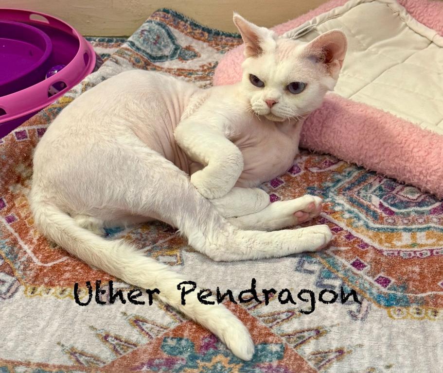 Uther Pendragon photo 1