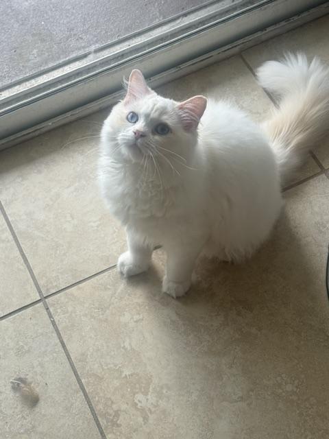 Timmy photo 2