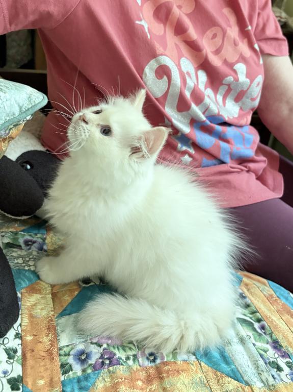 Baby photo 3
