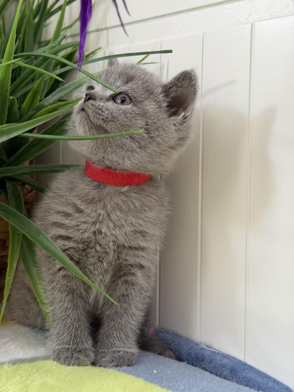 Olivia photo 24