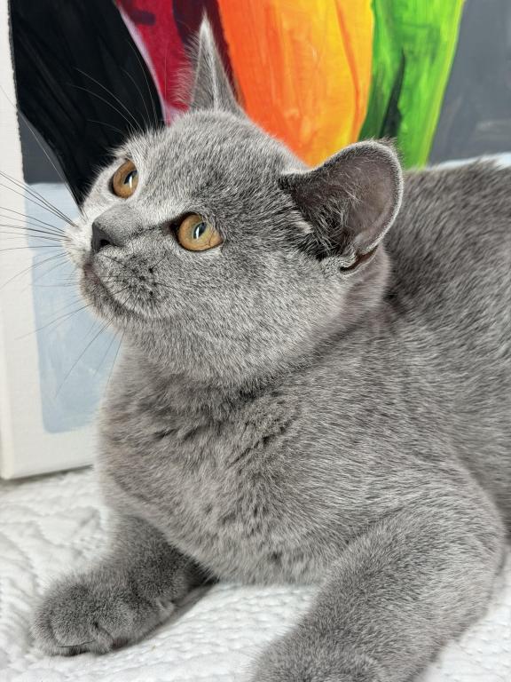 Olivia photo 2