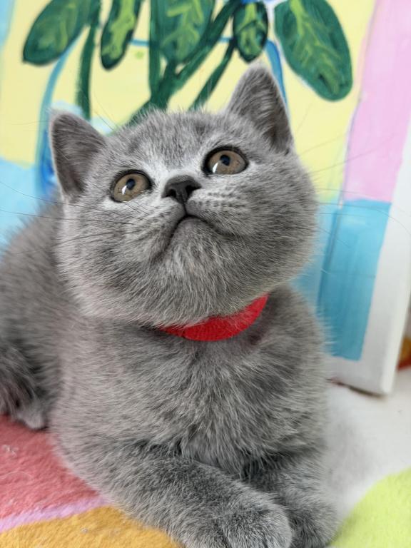 Olivia photo 21