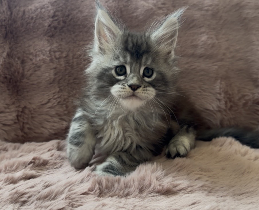 Boy From Breeder photo 3