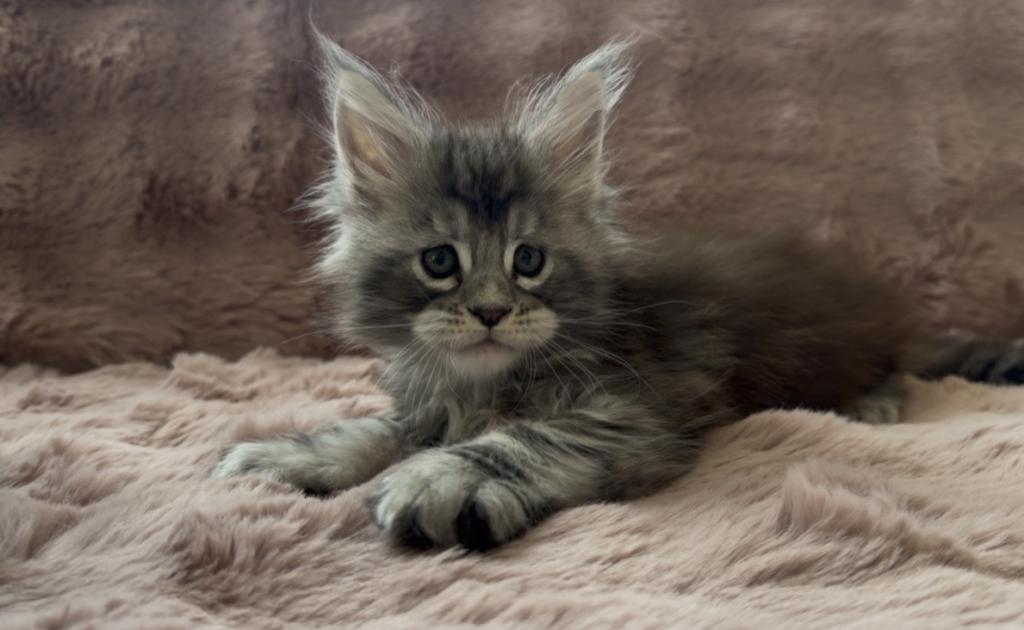 Boy From Breeder photo 5
